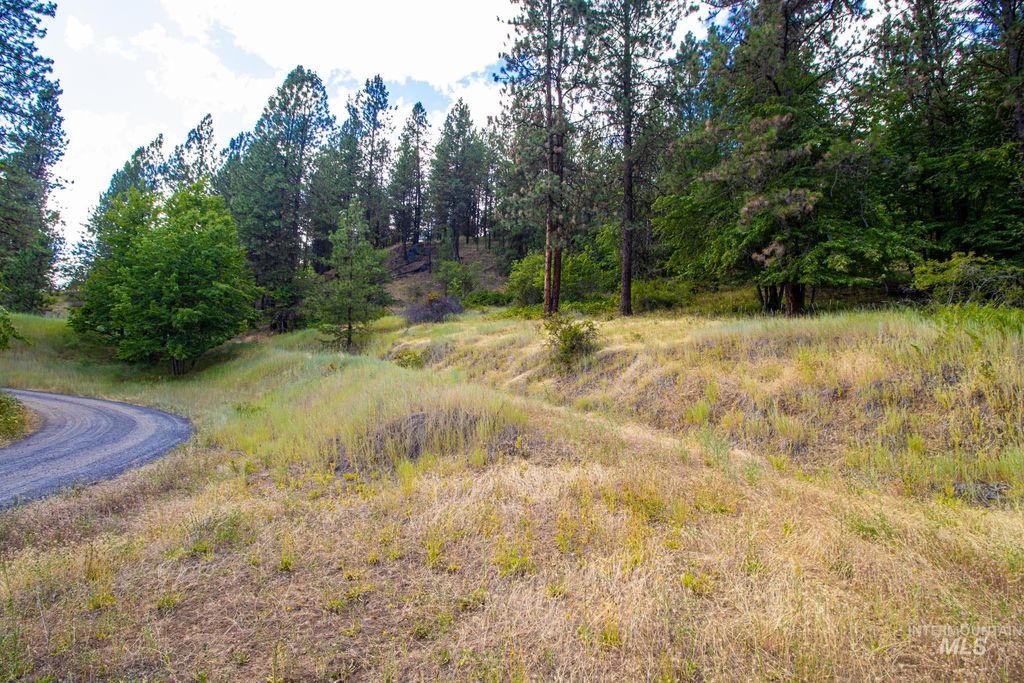 0 Whitetail Drive, Ahsahka, ID 83520 photo 4