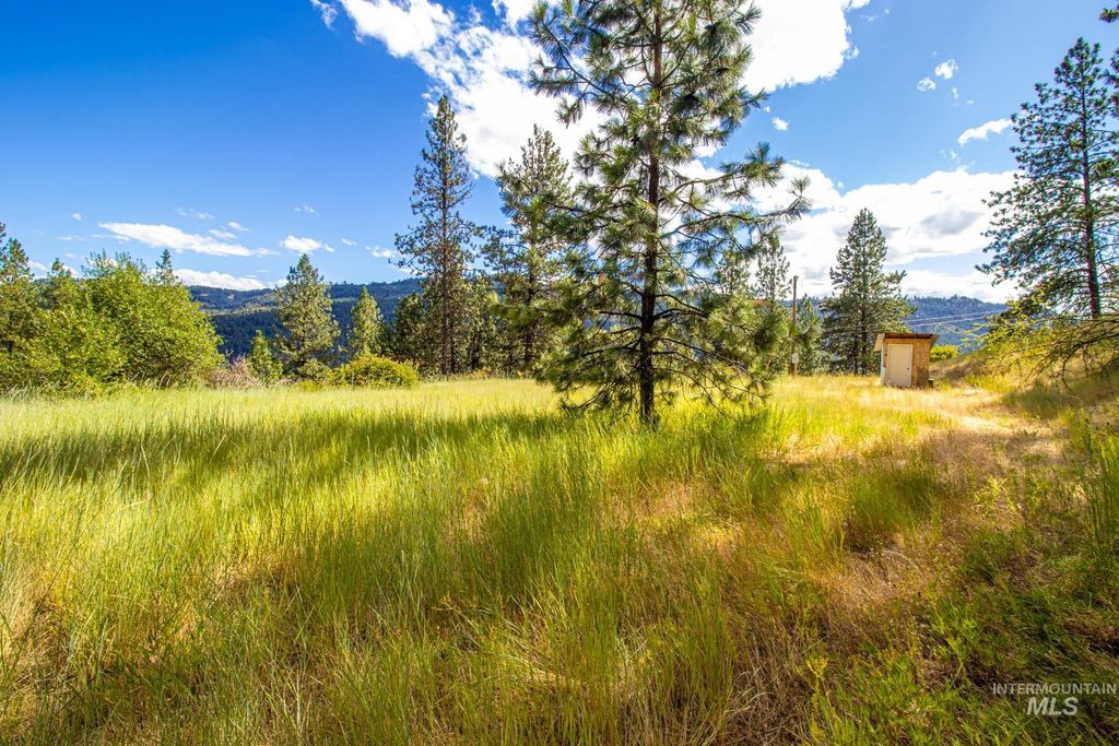 0 Whitetail Drive, Ahsahka, ID 83520 photo 8