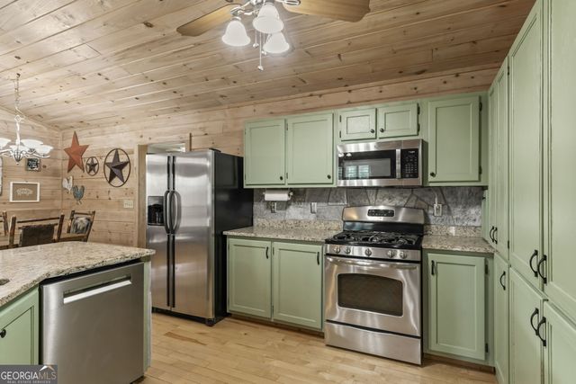 1132 Hells Hollow Road, Blue Ridge, GA 30513