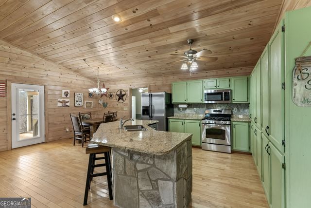 1132 Hells Hollow Road, Blue Ridge, GA 30513