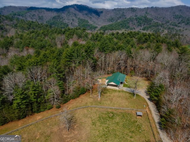 1132 Hells Hollow Road, Blue Ridge, GA 30513