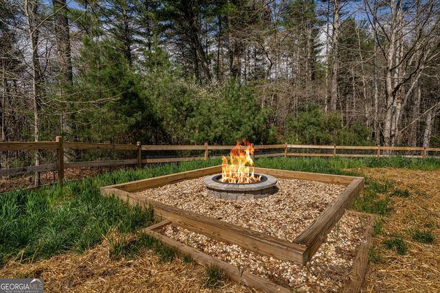 1132 Hells Hollow Road, Blue Ridge, GA 30513
