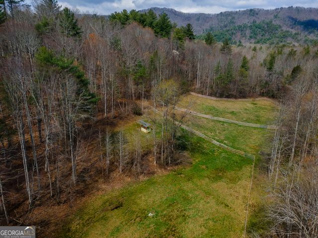 1132 Hells Hollow Road, Blue Ridge, GA 30513