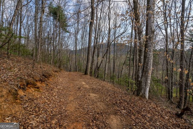 1132 Hells Hollow Road, Blue Ridge, GA 30513