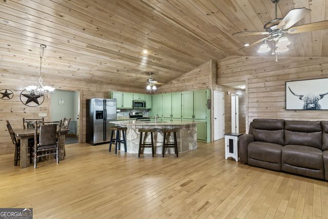 1132 Hells Hollow Road, Blue Ridge, GA 30513