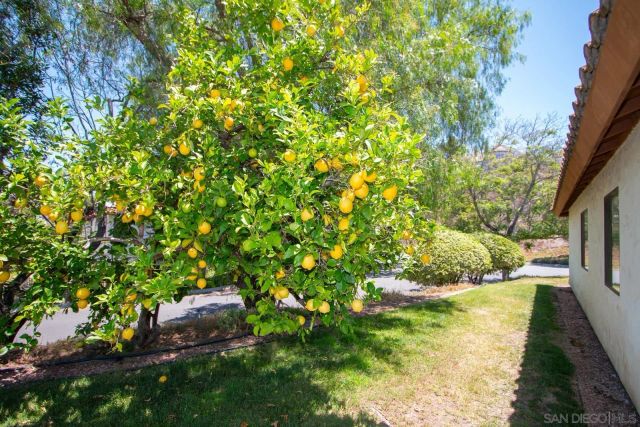 1115 Inspiration Lane, Escondido, CA 92025