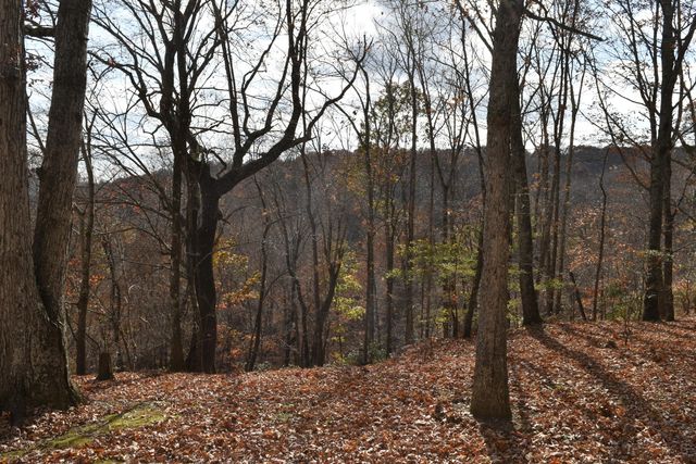 1454 Stage Coach Road, Sewanee, TN 37375