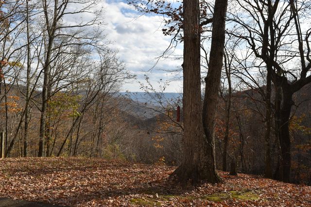 1454 Stage Coach Road, Sewanee, TN 37375