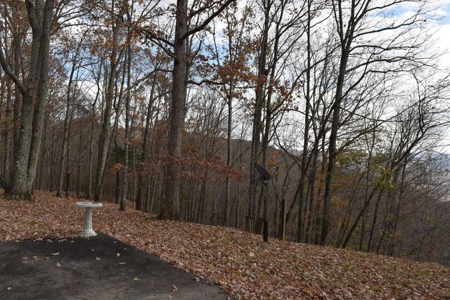 1454 Stage Coach Road, Sewanee, TN 37375