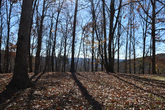 1454 Stage Coach Road, Sewanee, TN 37375