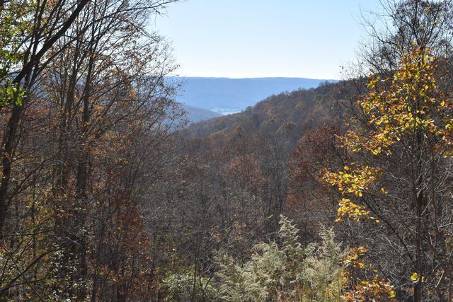 1454 Stage Coach Road, Sewanee, TN 37375