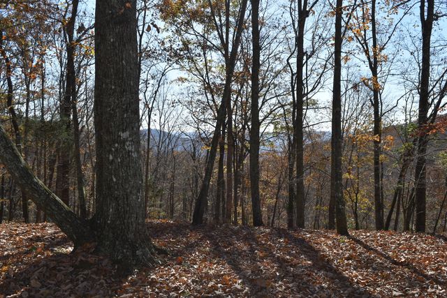 1454 Stage Coach Road, Sewanee, TN 37375