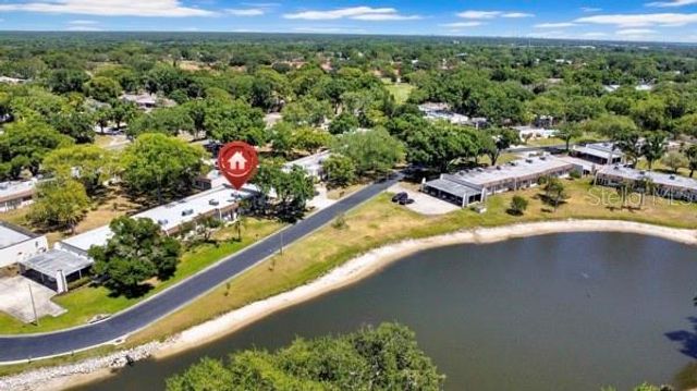 3113 MISSION GROVE DRIVE 3113, Palm Harbor, FL 34684