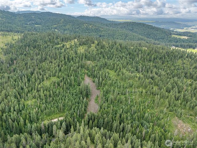 19970 N Mt Spokane Park Dr, Mead, WA 99021