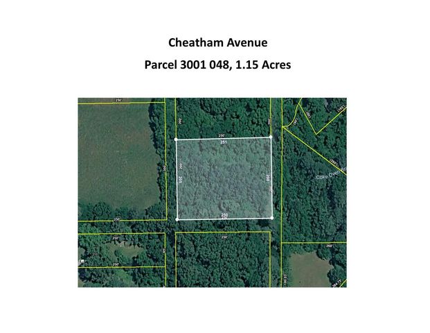 0 Cheatham Avenue, Chickamauga, GA 30707