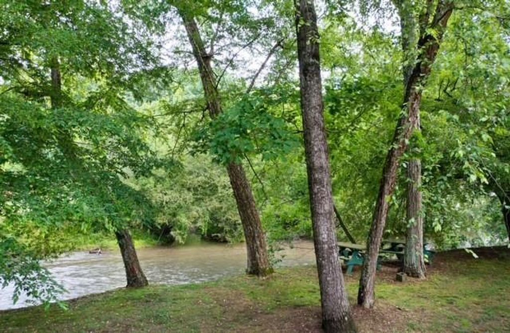 Image 63 of property listing at 442 Cartecay River Run, Ellijay, GA 30536