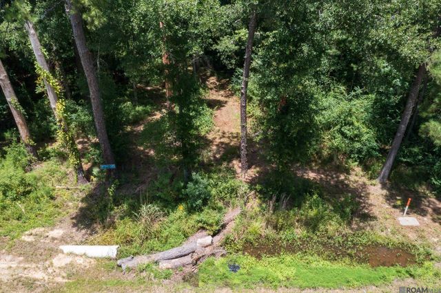 37405 Reinninger Rd, Denham Springs, LA 70706