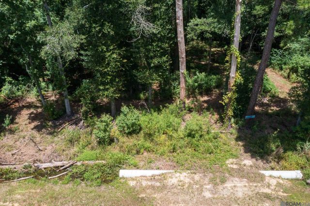 37405 Reinninger Rd, Denham Springs, LA 70706