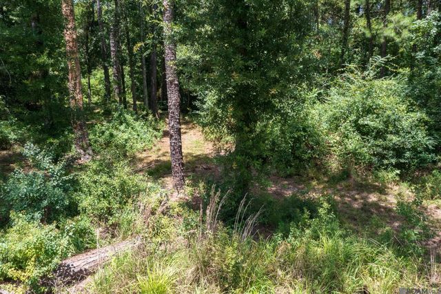 37405 Reinninger Rd, Denham Springs, LA 70706