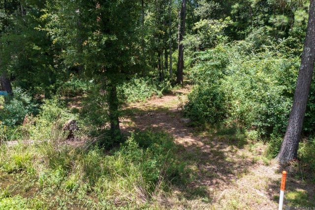 37405 Reinninger Rd, Denham Springs, LA 70706
