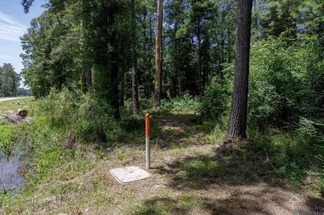 37405 Reinninger Rd, Denham Springs, LA 70706