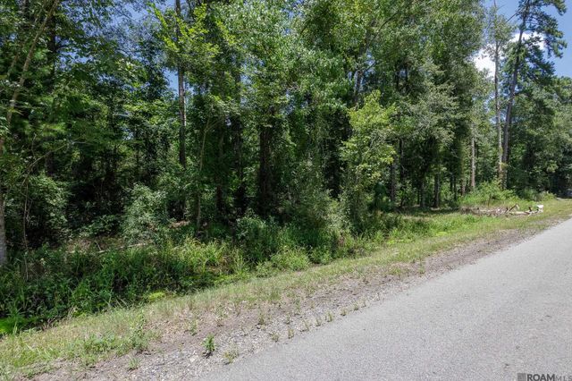 37405 Reinninger Rd, Denham Springs, LA 70706