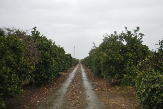 18376 Road 248 A, Porterville, CA 93257