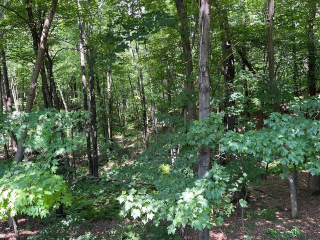 228 Oak Knoll Drive, Chippewa Falls, WI 54729