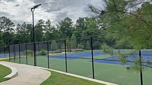 434 Golden Cascade Court, Willis, TX 77318