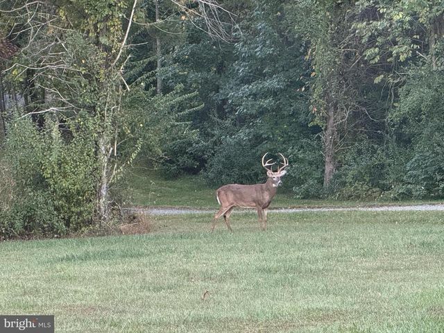 7706 ROGUES RD, Warrenton, VA 20187