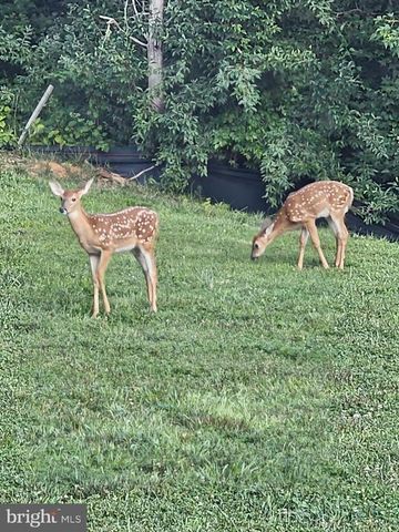 7706 ROGUES RD, Warrenton, VA 20187
