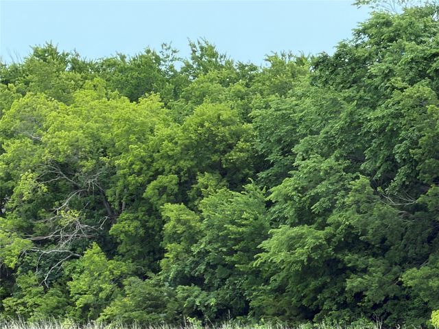 Trt 5&8 County Road 643, Nevada, TX 75173