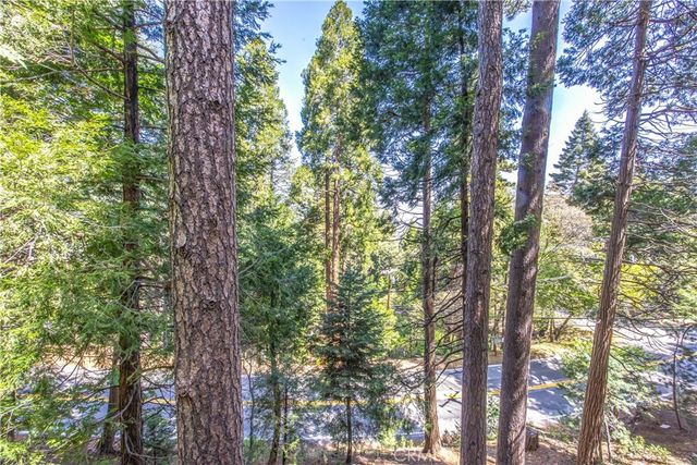 24098 Skyland, Crestline, CA 92325