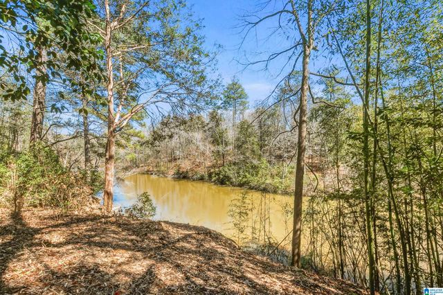 10852 MALLARD LAKE LANE, Cottondale, AL 35453