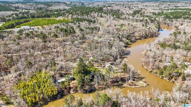 10852 MALLARD LAKE LANE, Cottondale, AL 35453