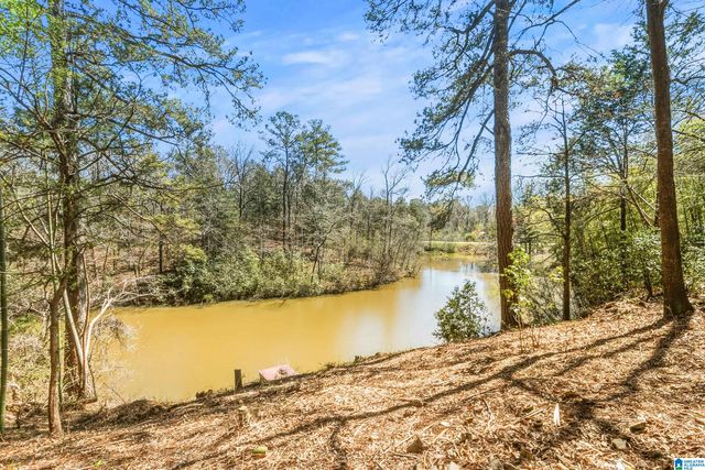 10852 MALLARD LAKE LANE, Cottondale, AL 35453
