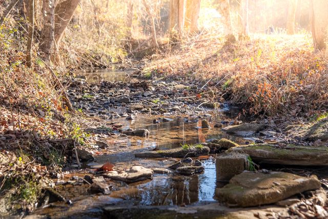 4860 136 Highway W, Chickamauga, GA 30707