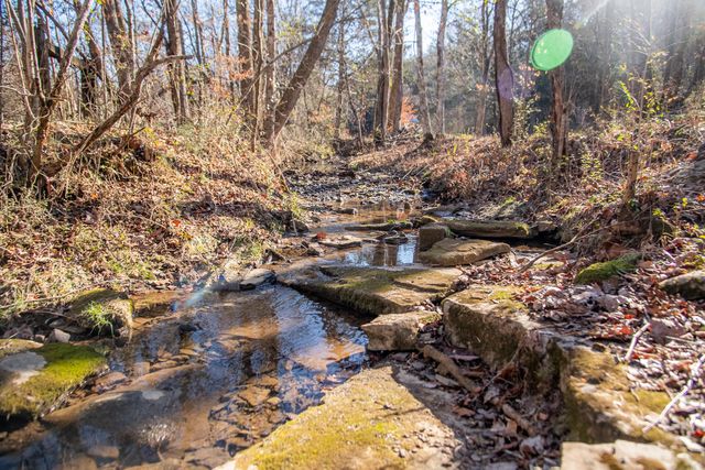 4860 136 Highway W, Chickamauga, GA 30707