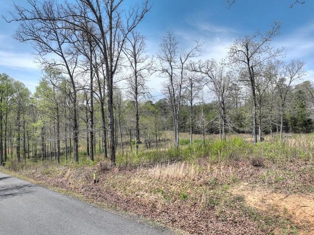 6 Arbor Creek Trail, Mineral Bluff, GA 30559