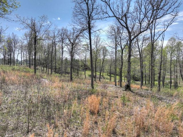 6 Arbor Creek Trail, Mineral Bluff, GA 30559
