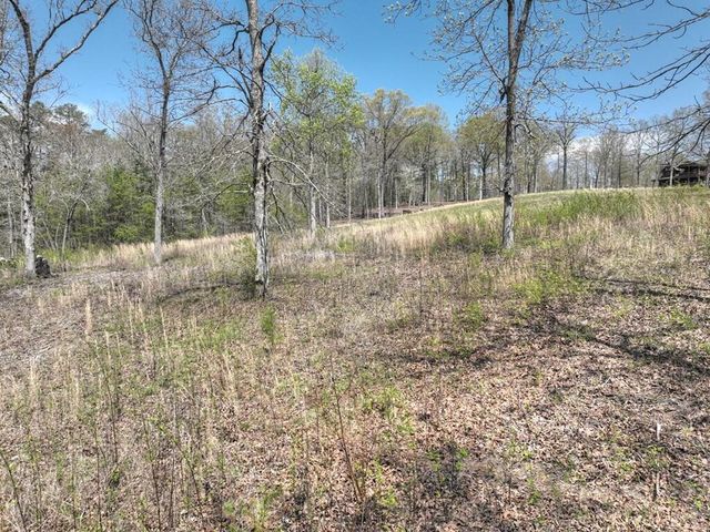 6 Arbor Creek Trail, Mineral Bluff, GA 30559