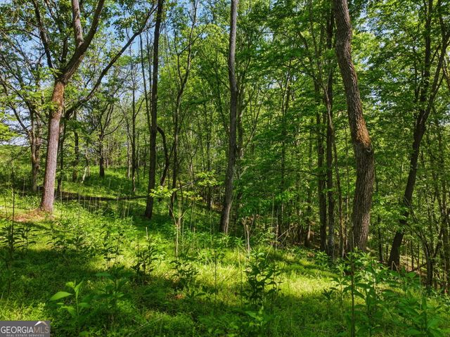 LOT 4 Summit Drive, Dahlonega, GA 30533