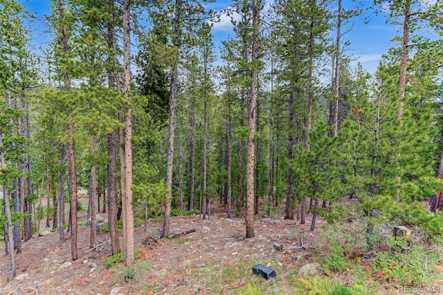 1960 Pine Valley Road, Evergreen, CO 80439