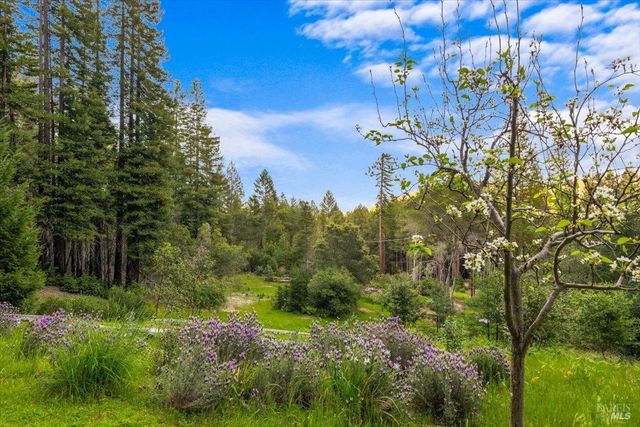 12076 Cloud Ridge Rd, Healdsburg, CA 95448