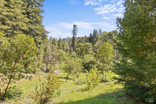12076 Cloud Ridge Rd, Healdsburg, CA 95448