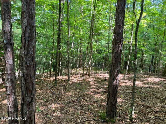 11 Green Cove Circle, Murphy, NC 28906