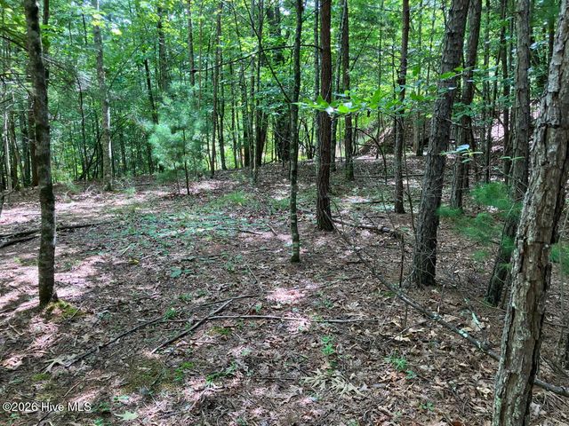 11 Green Cove Circle, Murphy, NC 28906