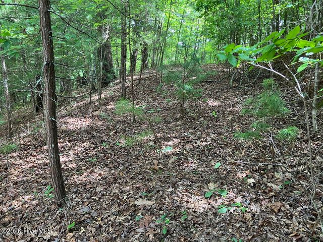 11 Green Cove Circle, Murphy, NC 28906