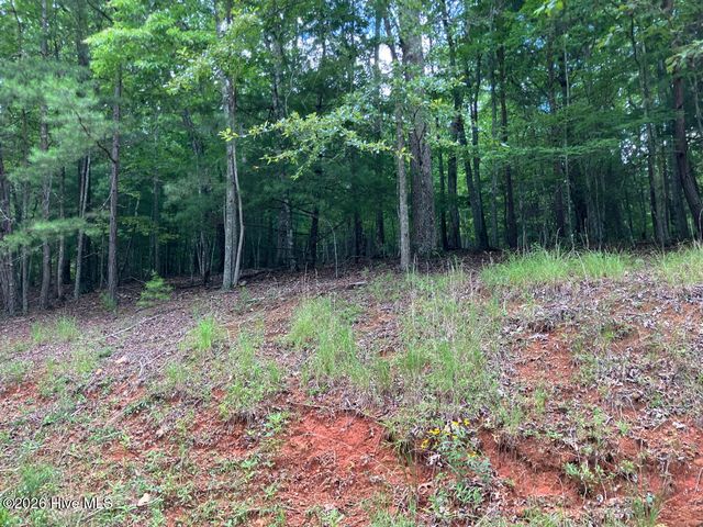 11 Green Cove Circle, Murphy, NC 28906