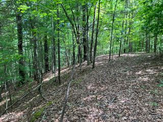 11 Green Cove Circle, Murphy, NC 28906
